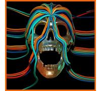 OSees - Intercepted Message [VINYL]