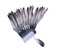 Oshhni American Chief Indian Native Hat Artificial Feather Headdress Headpiece, Gray Feather