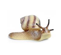 Oshhni Figure Simulation Model Educational Animal Toy Realistic Learning Collection Suitable for Classroom Display Home Decoration, Snail 1667