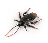 Oshhni Figure Simulation Model Educational Animal Toy Realistic Learning Collection Suitable for Classroom Display Home Decoration, Male Cockroach