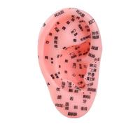 Oshhni Human Ear Acupoint Model Teaching Aid Simulation Ear Zone Model Practice Tool for Beauty Salons Massaging Learning Training