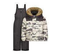OshKosh B'Gosh Boys' Ski Jacket and Snowbib Snowsuit Set, Grey Dino Print, 4 Years