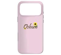 Oshun Orishas Goddess Oxum Ifa Yoruba Religion Case for iPhone 17 Pro Max