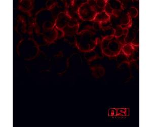 OSI - Blood [VINYL]