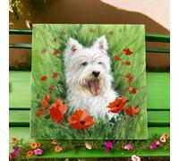 Osiris Trading UK Adorable Westie in Poppies Ceramic Picture Tile | R. Fathers Art | 20 x 20 cm Wall Decor | West Highland White Terrier Gift | Dog Lover's Home Decor | Ceramic Art Tile
