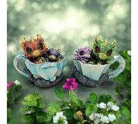 Osiris Trading UK Pair of Dragon Hatchlings 11.2cm - Cute Resin Baby Dragons in Teacup Fantasy Ornaments