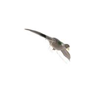 osiuujkw Plastic Flying Bird Decoy Long-lasting Deterrent For Unwanted Animals And Rodents.Kee Decoy Perched In Garden Will Scare Off Birds Owl Fake Deterrent Pigeons Repellent Hawks