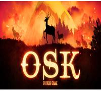 OSK - The End of Time Steam CD Key