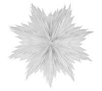 Oslo Christmas Star Ø80 White