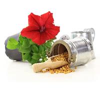 Osmocote 'Exact' Plant Fertiliser - Professional Controlled Release Mineral Plant Nutrients - 3-4 Months of Nutrients - Osmocote - Slow Release Fertiliser - Ideal for all Plants (1 KG)