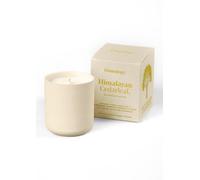 Osmology Himalayan Cedarleaf Votive Candle 130g - Plant-Based Wax, Lemon, Jasmine & Cedarwood Fragrance, Made in England