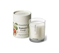 Osmology Tomato Leaf Scented Candle 200g, Fresh Green Garden Fragrance | Formerly Aery, plant-based wax, 45-hour burn time, made in England, home fragrance for living rooms and bedrooms
