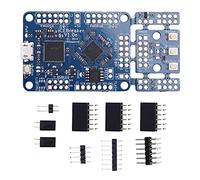 Osmond 1.0E FPGA Lattice ICE40UP5K RISC-V Development Board Open Source Main Board Supports Nextpnr Yosys