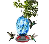 Osmond Garden Bird Feeders for Outdoors Hanging, Bird Gifts for Women Blown Glass Bird Feeder Easy Install C