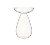 Osmond Glass Avocado Tree Flower Vase Transparent Hydroponic Plant Propagation Station for Growing Planter Avocado Vase 1PCS