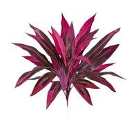 OSNIYAW 60cm Tall Artificial Dracaena Marginata Plant with Fade Resistant Leaves for Tabletop Floor Garden Decoration Home Deck Fraudulent Bushes