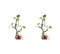OSNIYAW Artificial Climbing Vine, 2 Pieces for Pet Reptiles Terrariums Landscape Accessories Resin Branch for Aquarium Decoration Realistic Resin Vine for Pet Terrariums Safe