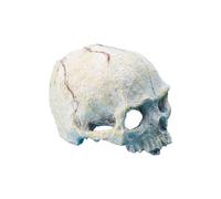 OSNIYAW Skull Head Reptile Hiding Caves Resin Landscape Decoration Aquariums Terrariums Accessories for Snakes Bearded Dragons Reptile Habitats Decor