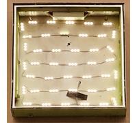 Oso Oso Basking in the Glow (CD) Album (US IMPORT)