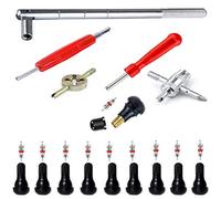 OSOF 25Pcs Tyre Valve Stem Puller Tools Set - 10Pcs TR412 Snap-in Valve Stems with 10Pcs Valve Stem Cores, 1Pcs 4-Way Valve Tool, 1Pcs Dual & 1Pcs Single Head Valve Core Remover Installer Tool
