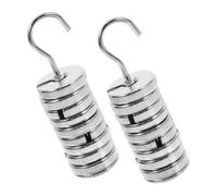OSOLADY 2pcs Chrome Plated Slotted Mass Weights Set Hooks Precise Metal Slotted Weights for Laboratory and Experiment Use