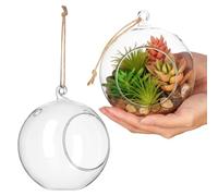OSOLADY 2pcs Hanging Glass Globe Terrariums with Large Opening for Air Plants and Flowers, Glass Planters for Home and Office Decoration, Simple and Artistic Design