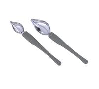 OSOLADY 2pcs Stainless Steel Sauce Plating Art Pencils Culinary Spoons for Precise Drizzling and Decorating Desserts Kitchen Saucier Utensils for Professional Food Presentation