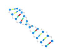 OSOLADY Accurate Double Helix Structure Dna Model Kit for Biology Class Science Fair Projects Educational Biochemistry and Genetics Teaching Aid Visual Learning Tool for Student