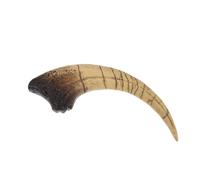 OSOLADY Faux Prehistoric Dinosaur Claw Statue, Realistic Resin Dino Claw Craft Ornament, Dinosaur Home Decor for Living Room, Desk Or Shelf Decoration B