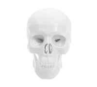 OSOLADY Mini Detachable Human Skull Model Anatomical Plastic Skull Head for Medical and Artistic Use White Color Small Size Decoration