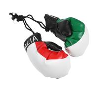 OSOLADY Miniature Italian Flag Boxing Gloves Keyring Pair Mini Boxing Gloves Pendant Car Hanging Decoration Indoor Ornament Automotive Interior Accessories
