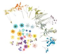 OSOLADY Natural Dried Flower Craft Materials Pack Retaining Scent and Colour, Good Decorative Ability, for Bookmark and Candle Decor, for DIY Flower Accessories and Handicrafts Supplies