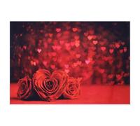 OSOLADY Photography Backdrop Romantic Rose Backdrop Vinyl Red Multifunction for Bath Curtain and Wedding Party