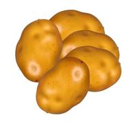 OSOLADY Realistic Foam Potato Models 5pcs Miniature Vegetable Props Artificial Potatoes for Decor Teaching Displays