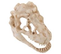 OSOLADY Realistic Resin Dinosaur Skull Model Small Tyrannosaurus Skeleton Figurine Compact Home Office Decoration Terrarium Accessory Teaching Tool