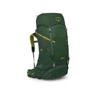 Osprey backpack Ace 50 Green Canopy