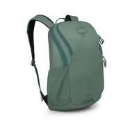 Osprey Astronova Unisex Backpack, 23L, Pine Leaf Green, O/S