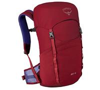 Osprey Jet 18 Unisex Youth Hiking Pack - Cosmic Red O/S