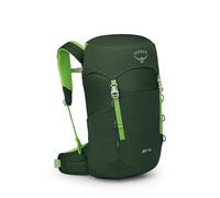 Osprey Jet Kid's Hiking Pack, 18L, Green Canopy/Limeline Green