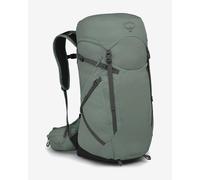 Osprey Sportlite 30L Backpack Forest Green - S-M