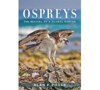 Ospreys: The Revival of a Global Raptor