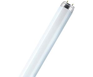 Osram 18 Watt Lumilux T8 Fluorescent Lamp Sockets