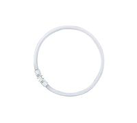 Osram 22 Watt Lumilux T5 Fluorescent Lamps Socket