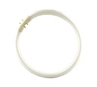 Osram 22 Watt Lumilux T5 Fluorescent Lamps Sockets