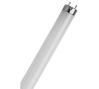 Osram 36 Watt Biolux T8 Fluorescent Lamps Sockets
