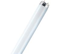 Osram 36 Watt Lumilux T8 Fluorescent Lamp Sockets