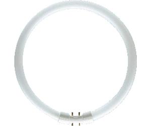 Osram 40 Watt Lumilux T5 Fluorescent Lamp Sockets