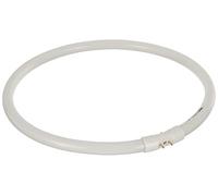 55W OSRAM 2GX13 4 Pin T5 FC Circular 300mm Lamp Fluorescent 4000K Light Bulb [EEK: A]