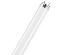 Osram 999029585046 18 Watt Natura T8 Fluorescent Lamps Sockets