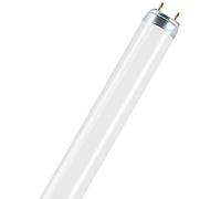 Osram 999029625046 36 Watt Natura T8 Fluorescent Lamps Sockets